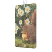 Désodorisant Pour Voiture Cute Red Squirrel and Daisies Photo (Gauche)