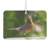 Désodorisant Pour Voiture Cute Robin (Dos)