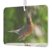 Désodorisant Pour Voiture Cute Robin (Gauche)