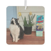 Désodorisant Pour Voiture Cute Tuxedo Chat Noir Blanc Chats Daffodique Flora (Dos)