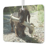 Désodorisant Pour Voiture Dachshund (Gauche)