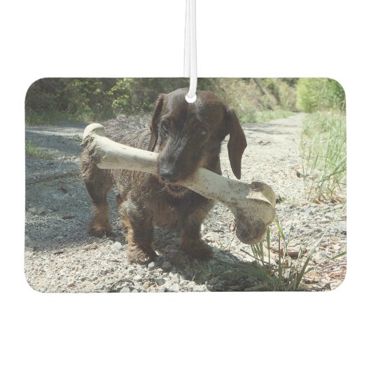 Désodorisant Pour Voiture Dachshund (Devant)