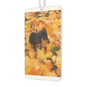 Désodorisant Pour Voiture Dachshund (Gauche)
