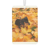 Désodorisant Pour Voiture Dachshund (Dos)