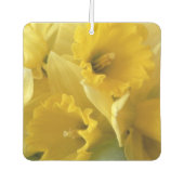 Désodorisant Pour Voiture Daffodils Jaunes carrés Air Freshener (Devant)