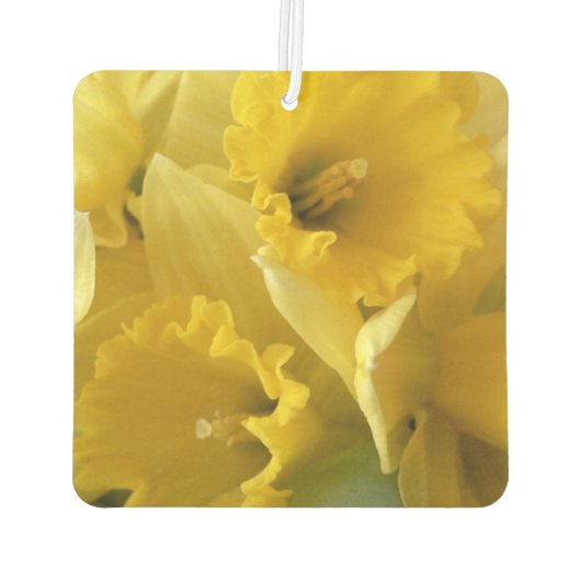 Désodorisant Pour Voiture Daffodils Jaunes carrés Air Freshener (Dos)