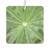 Désodorisant Pour Voiture Déposer (Dos)