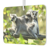 Désodorisant Pour Voiture Des lémuriens de Madagascar surpris (Gauche)