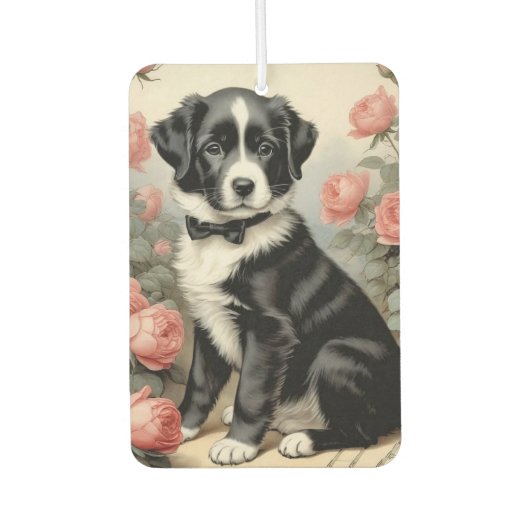 Désodorisant Pour Voiture désosseuse (Devant)