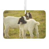 Désodorisant Pour Voiture Deux chèvres (Dos)