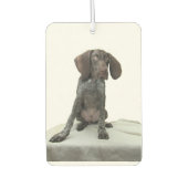 Désodorisant Pour Voiture Doublure d'air glacé Grizzly (Devant)