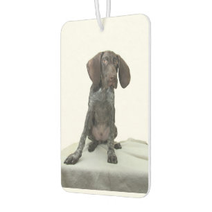 Désodorisant Pour Voiture Doublure d'air glacé Grizzly