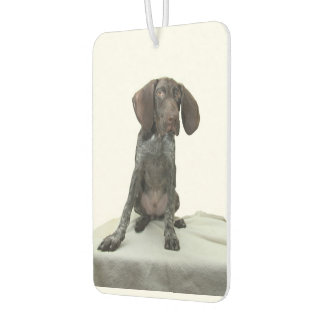 Désodorisant Pour Voiture Doublure d'air glacé Grizzly