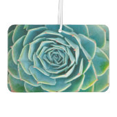 Désodorisant Pour Voiture Echeveria Rosette, Secret Garden of Marrakech (Dos)