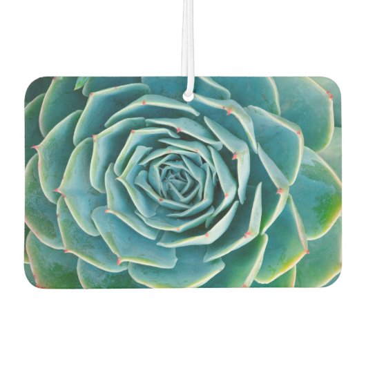 Désodorisant Pour Voiture Echeveria Rosette, Secret Garden of Marrakech (Devant)