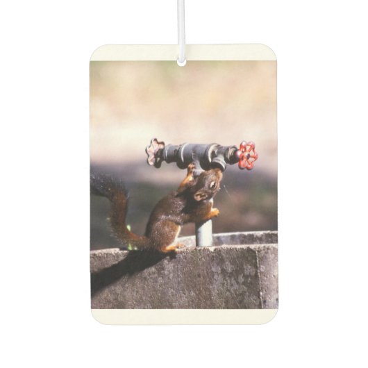 Désodorisant Pour Voiture Éclosoir (Devant)