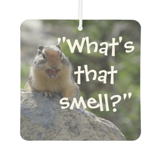 Désodorisant Pour Voiture Écureuil au sol (Devant)