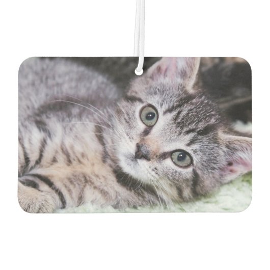 Désodorisant Pour Voiture Élégant Script Monogram Pale Lavender Photo (Dos)