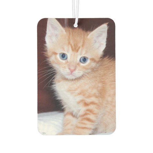 Désodorisant Pour Voiture Élégant Script Monogramme Pale Lavender Photo Chat (Dos)