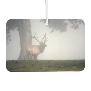 Désodorisant Pour Voiture Elk Air Freshener