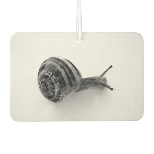 Désodorisant Pour Voiture Escargot (Devant)