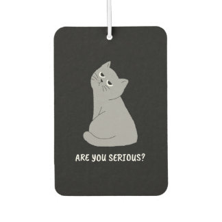 Désodorisant Pour Voiture Êtes-vous sérieux ? Chat drôle et sarcastique