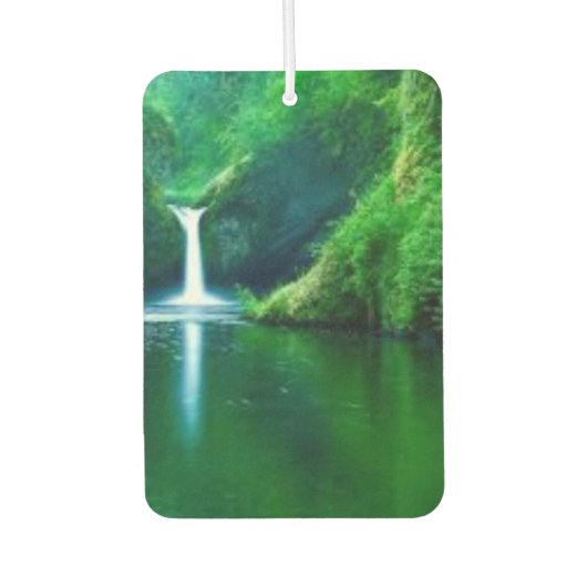 Désodorisant Pour Voiture Étui iPhone à texture de mousse abstraite verte (Devant)