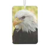 Désodorisant Pour Voiture Falln Bald Eagle Liberty (Dos)