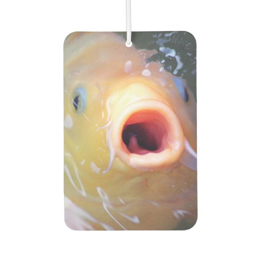 Désodorisant Pour Voiture Falln chantant Ghost Koi (Devant)