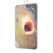 Désodorisant Pour Voiture Falln chantant Ghost Koi (Gauche)