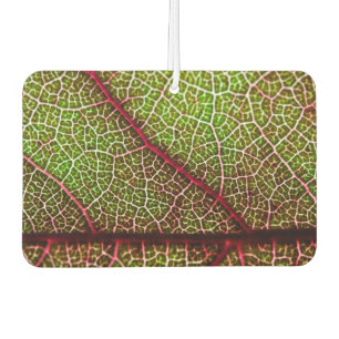 Désodorisant Pour Voiture Feuille
