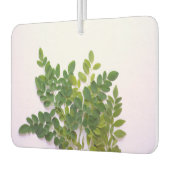 Désodorisant Pour Voiture Feuille Moringa avec espace texte (Gauche)
