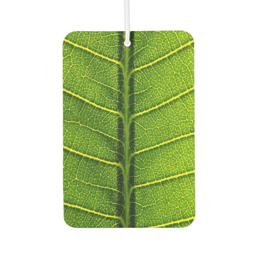 Désodorisant Pour Voiture Feuille verte (Devant)