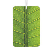 Désodorisant Pour Voiture Feuille verte (Dos)