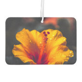 Désodorisant Pour Voiture Fleur d'air frais (Dos)