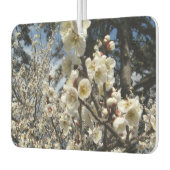 Désodorisant Pour Voiture Fleur de cerisier blanc / Sakura / ク(桜) (Gauche)