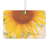 Désodorisant Pour Voiture Fleur de tournesol customisé (Dos)