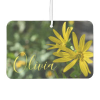 Fleur Jaune Fleur Florale Nature Photographie