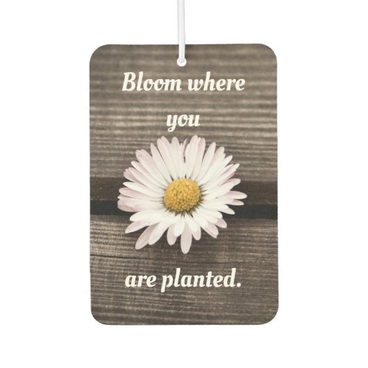 Désodorisant Pour Voiture Fleur Où Vous Êtes Plantés (Devant)