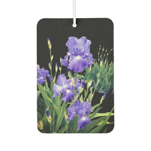 Désodorisant Pour Voiture Fleurs d'iris bleu foncé (Devant)