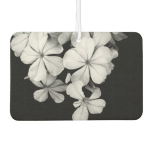 Désodorisant Pour Voiture Fleurs élégantes N&B