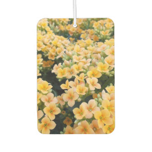 Désodorisant Pour Voiture Fleurs Jaunes