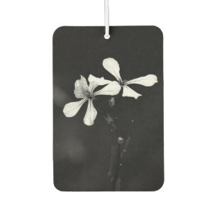 Désodorisant Pour Voiture fleurs minimalistes noir et blanc