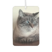 Désodorisant Pour Voiture Flo Kitty-Kat (Devant)