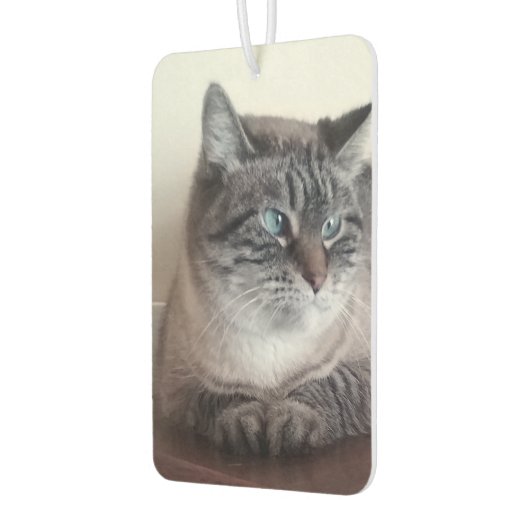 Désodorisant Pour Voiture Flo Kitty-Kat (Gauche)