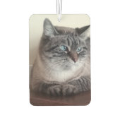 Désodorisant Pour Voiture Flo Kitty-Kat (Dos)