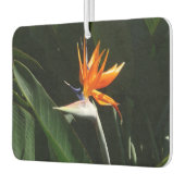 Désodorisant Pour Voiture Flower tropical orange paradise (Gauche)