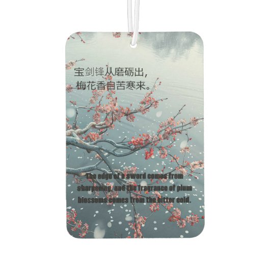 Désodorisant Pour Voiture fond de prune (Dos)