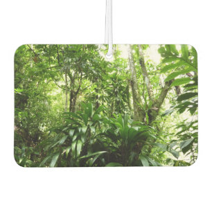 Désodorisant Pour Voiture Forêt de pluie dominicaine I Nature verte tropical