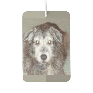 Désodorisant Pour Voiture Forme de coeur photo Personnaliser